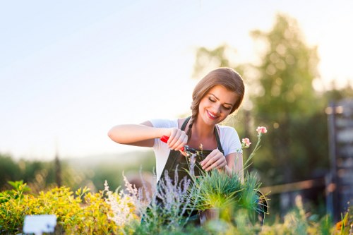 Professional tree lopping service in Bayswater
