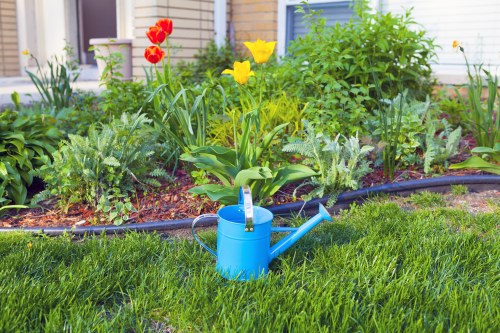 The image depicts a well-maintained front garden with a vibrant green lawn in the foreground, featuring evenly cut grass with a lush and healthy appearance. Just behind the lawn, there is a flower bed edged with black plastic edging, containing various flowering plants including red tulips, yellow daffodils, and other seasonal blooms, adding bright splashes of colour to the garden. The flower bed is rich with dark, moist soil and densely populated with leafy green plants and bushes, providing texture and depth to the landscape. In the centre of the garden, a blue watering can rests on the grass, suggesting ongoing gardening care. The background includes a light-colored exterior wall of a house, partially obscured by the foliage, with windows and possibly a door visible. The scene appears to be outdoors on a clear day with natural daylight illuminating the vibrant greenery and flowers, highlighting the tidy and attractive garden layout that complements outdoor maintenance and lawn care services in Bayswater or nearby areas.