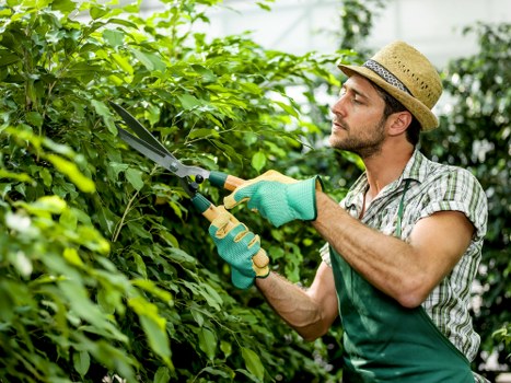 Eco-friendly garden clearance practices in Bayswater