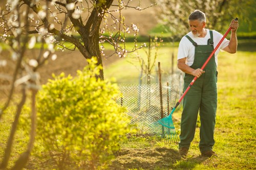 Tools and equipment used for garden clearance in Bayswater