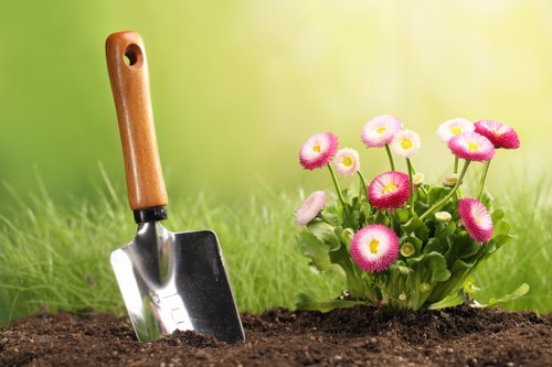 Healthy green lawn maintained in Bayswater community