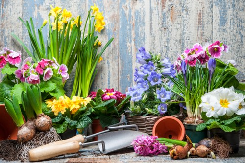 Eco-friendly tree maintenance practices