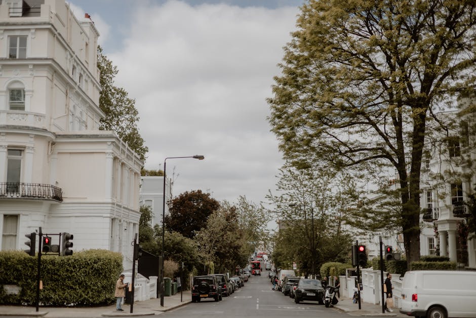 A street scene featuring white residential buildings with ornate architectural details, situated along Bayswater Road. The gaze extends down a broad, tree-lined avenue with large deciduous trees on bo