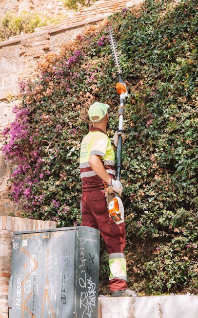 A gardener using a long-reach pruning tool to trim dense, flowering bushes along a garden wall. The shrubbery features a mix of green leaves and clusters of pink and purple blooms, indicating active g