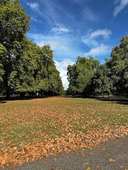 A scenic pathway in a lush, green park with evenly spaced mature trees lining both sides, their branches forming a canopy overhead that filters sunlight and creates dappled shadows on the gravel walkw